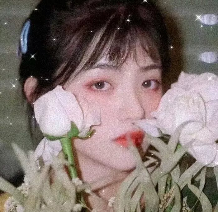 看鸟人